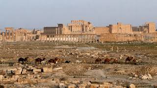 Palmyra  Wikipedia audio article [upl. by Alyak]