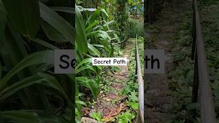 Nature Path in Portland 🇯🇲 [upl. by Artemus146]