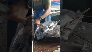 GOOD SHARP MACHETE 🔪🔥 Tuna Fish Cutting Process shorts tuna [upl. by Phillada]