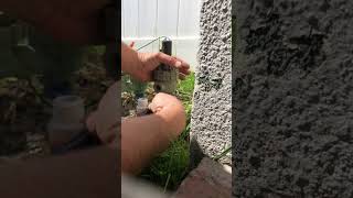 Easy sprinkler valve replacement No future cuts DIY irrigation [upl. by Nahoj]