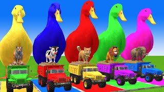 5 Giant Duck CartoonCowElephantTigerLionDinosaurPaint Wild Animals Crossing Fountain Animation [upl. by Andonis877]