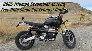 2025 Triumph Scrambler 1200 XE  Exhaust Sound Free Ride [upl. by O'Conner]