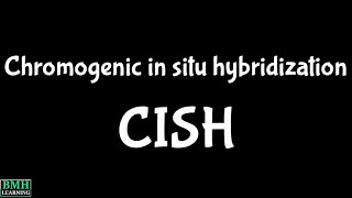 Chromogenic In Situ Hybridosation  In Situ Technique  CISH [upl. by Ramhaj]