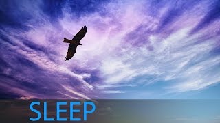 Sleep Music Sleep Meditation Calm Music Insomnia Spa Study Music Relaxing Music Sleep ☯533 [upl. by Bouzoun]