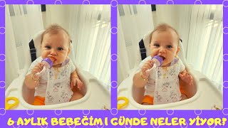 6 AYLIK BEBEK İÇİN EK GIDA TARİFLERİ 1  6 AYLIK BEBEĞİM 1 GÜNDE NELER YİYOR [upl. by Jens]