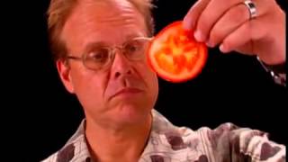 Shun Knife Anatomy  Alton Brown Shares why Shun Knives are His Favorite [upl. by Venator]