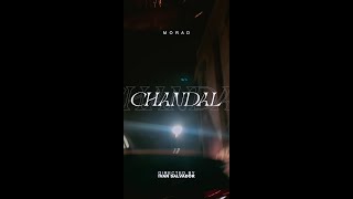 MORAD  CHANDAL VIDEO OFICIAL [upl. by Leynad]