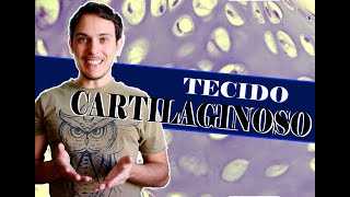 Tecido Cartilaginoso Histologia [upl. by Meehyr]