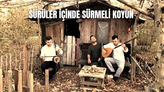 3ALP  SÜRÜLER İÇİNDE SÜRMELİ KOYUN [upl. by Abbotsen]