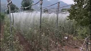 Drip irrigation system With Foger Netafim [upl. by Novihc]