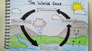 How to Draw a Water Cycle Diagram  Class 3 water cycle science diagram  Science Diagram [upl. by Enelav774]