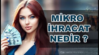 MİKRO İHRACAT NEDİR VE NASIL YAPILIR [upl. by Akcirederf]