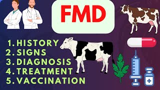 FMD Foot and Mouth Disease common animal  veterinary disease signs treatment veterinary clinic [upl. by Namijneb]