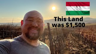 Hungarian Countryside 1500 Vineyard and Wine 🇭🇺 [upl. by Weixel]