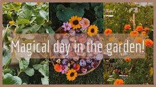 MAGICAL DAYS IN THE GARDEN  harvesting  watering  flower bouquet [upl. by Vitoria]