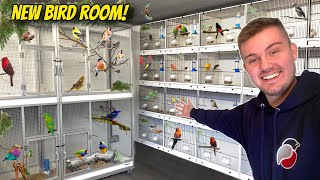 My AMAZING NEW Bird Breeding Room [upl. by Stafani]