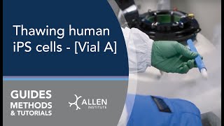 Allen Cell Methods Thawing human iPS cells  Vial A [upl. by Trauner]