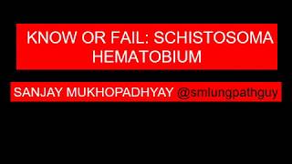 know or fail schistosoma hematobium [upl. by Bozuwa368]