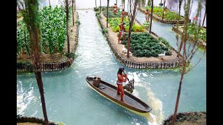 Chinampas The Aztec floating agriculture [upl. by Ybok]