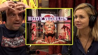 Body Worlds Exhibit Is Using Real Dead Bodies  Joe Rogan amp Mariana Van Zeller [upl. by Ardnaeel]