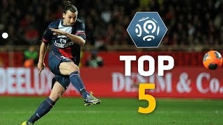 Zlatan Ibrahimovic  Top 5 Free Kicks  Ligue 1  PSG [upl. by Dehsar]