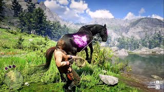 ARTHUR CATCH A BEAUTIFUL CHAROITE HORSE  RDR2  GAMEPLAY [upl. by Nolasba403]