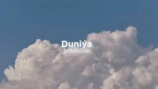 Duniya slowedreverb [upl. by Oaht]