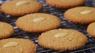 Speculaas Recipe Demonstration  Joyofbakingcom [upl. by Ekle]