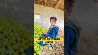 Baluchi Kid 👦 Speaking Pashto fazalafghan fazalafghanvlogs [upl. by Aerdnaxela381]