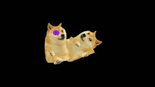 doge vs doge doge dc2animation [upl. by Casilda]