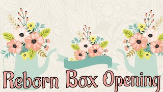 🌸👣🌸 Reborn Box Opening 🌸👣🌸 [upl. by Naul]