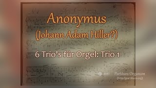 Johann Adam Hiller  Trio 1 [upl. by Lucretia]