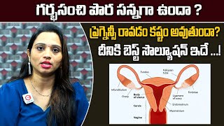 గర్భసంచి పొర సన్నగా ఉందా Dr Poornima About The Best Solution For Uterine Lining  Santana Seva [upl. by Ullman]