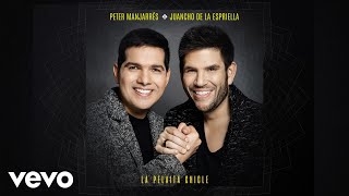 Peter Manjarrés Juancho De La Espriella  La Pelaita Chicle  Cover Audio [upl. by Alessandra]