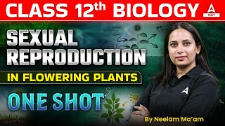 Sexual Reproduction in Flowering Plants One Shot  Biology Chapter 1 for Class 12 Board Exam 202425 [upl. by Gnet]