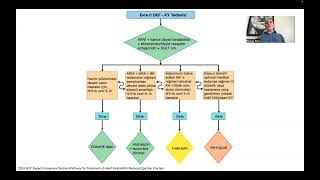 10 Years of Experience with ARNI SacubitrilValsartan in the Treatment of Heart Failure [upl. by Orose]