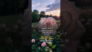 beautiful quran recitation for sleep shorts viralshorts tranding [upl. by Teiv]