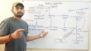 Cytokinin BiosynthesisPhytohormone in Hindi [upl. by Enelyaj]