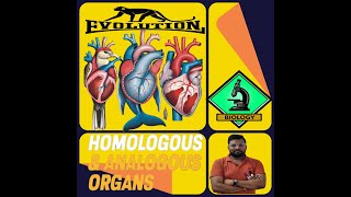 TOPIC HOMOLOGOUS ANALOGOUS ORGANS aimtutors biology science evolution scienceclass10 wbbse [upl. by Evander]