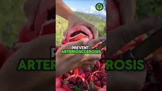 What Happens When You Eat Pomegranate Every Day shorts shortsviral viral wellness [upl. by Ahseat]