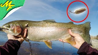 Trout fishing the Snake River [upl. by Columbyne]