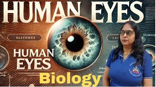 Human Physiology Humans Eyes II 11Th Biology II NEET II NCERT II CUET II Zoology [upl. by Novad]