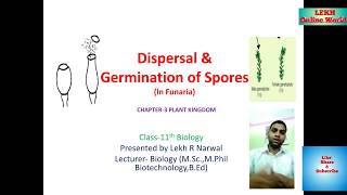 Spore Dispersal and its Germination Class 11th Biology [upl. by Jemmie]