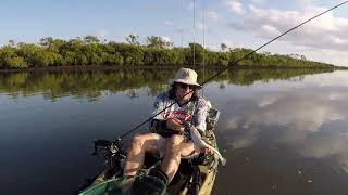 Coombabah Creek Gold Coast Kayak Fishing for Flathead [upl. by Aitnahc]