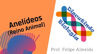 Aula de Anelídeos  Filo annelida  Prof Felipe Almeida [upl. by Yellehs]