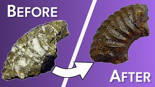 Saving fossils with Pyrite Stop [upl. by Attoynek]