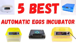 Top 5 best chicken hatching eggs incubator [upl. by Nnylsia118]