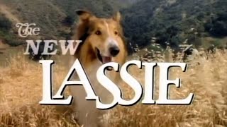 Classic TV Theme The New Lassie Full Stereo [upl. by Introk]