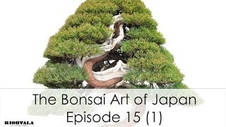 The Bonsai Art of Japan  Episode 15 Part 1mov [upl. by Ahsrav]