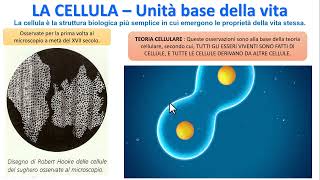 LA CELLULA  Unità base della vita [upl. by Dnumde559]